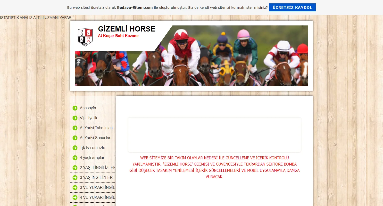 gizemlihorse.tr.gg screenshot