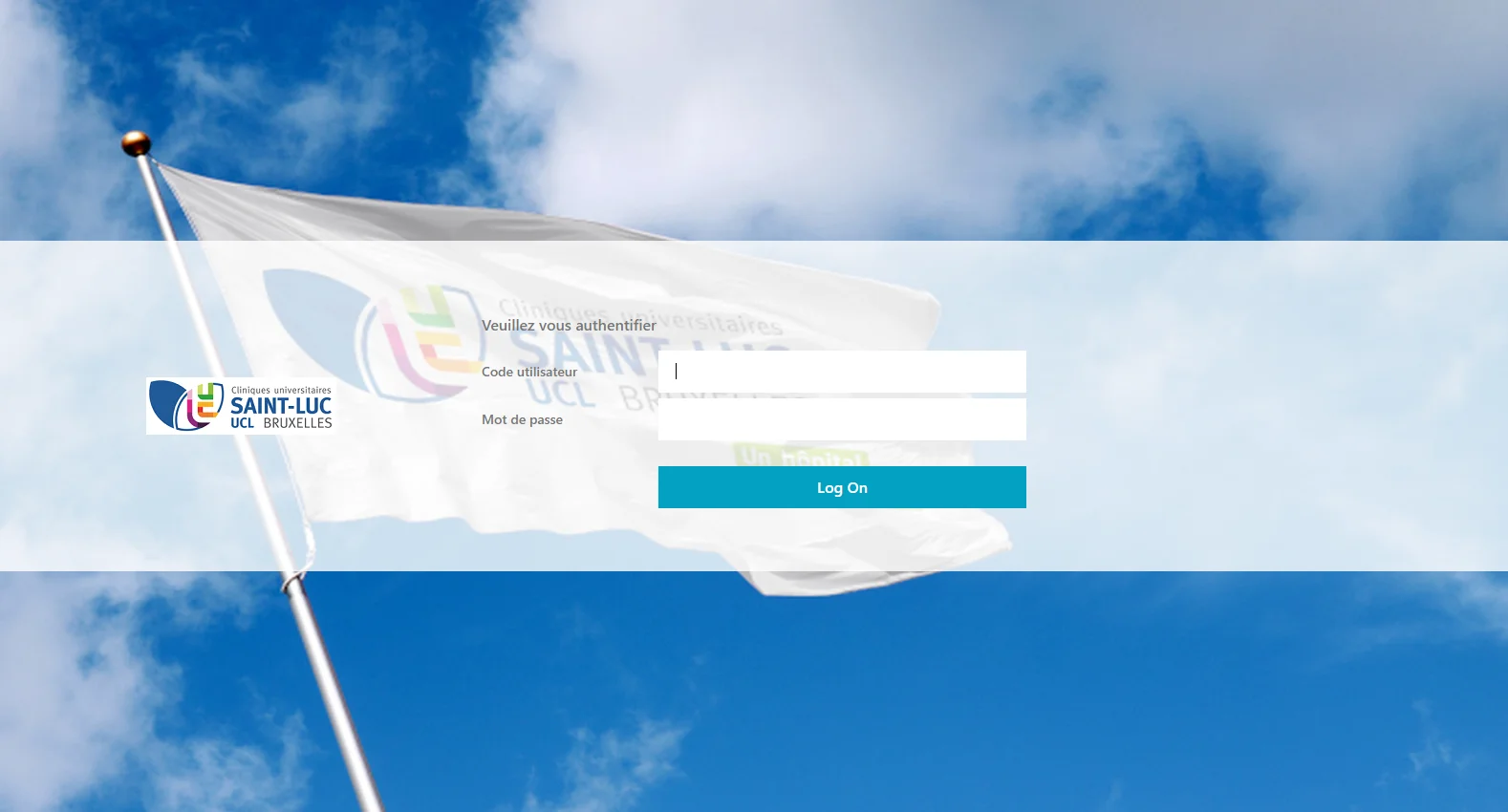 sso-intranet.saintluc.be screenshot